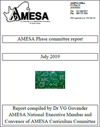 Amesa Report 1 graphic